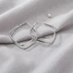 Silver Earrings - BXH